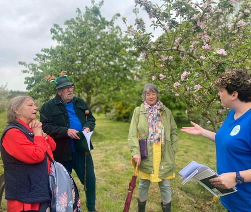 Creative Pathways at Ledbury Poetry Creative Pathways at Ledbury Poetry