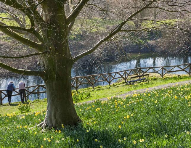 Image shows a riverside garden. Two people are leaning against a wooden fence that runs along the waterside. A large tree, without leaves, stands in the foreground.